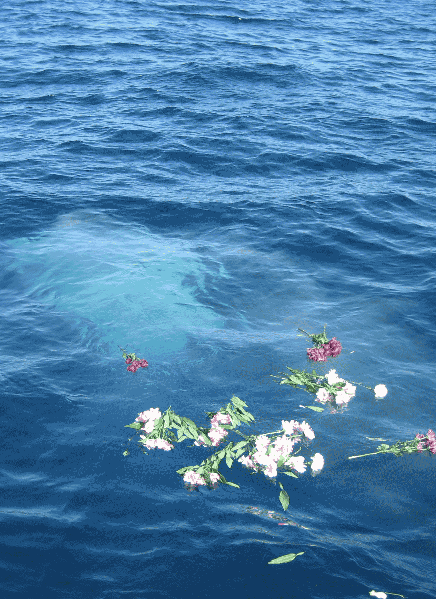 Ashes in the ocean